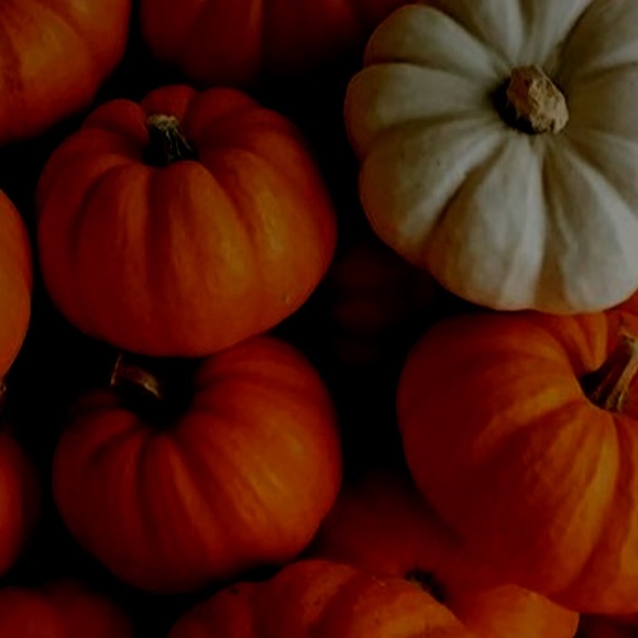 Meet your Posher, Amy - Picture 1 of 1